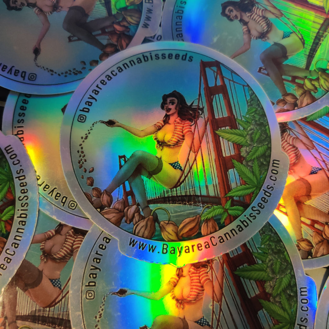 2.5 Inch Holographic Vinyl Stickers Weather Proof Laminate Finish