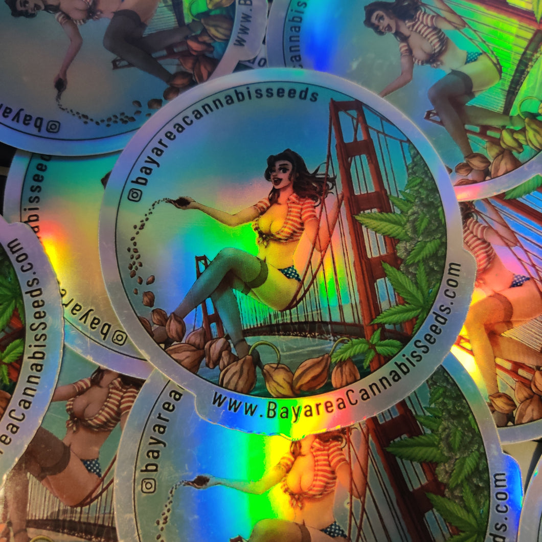 4 Inch Holographic Vinyl Stickers Weather Proof Laminate Finish